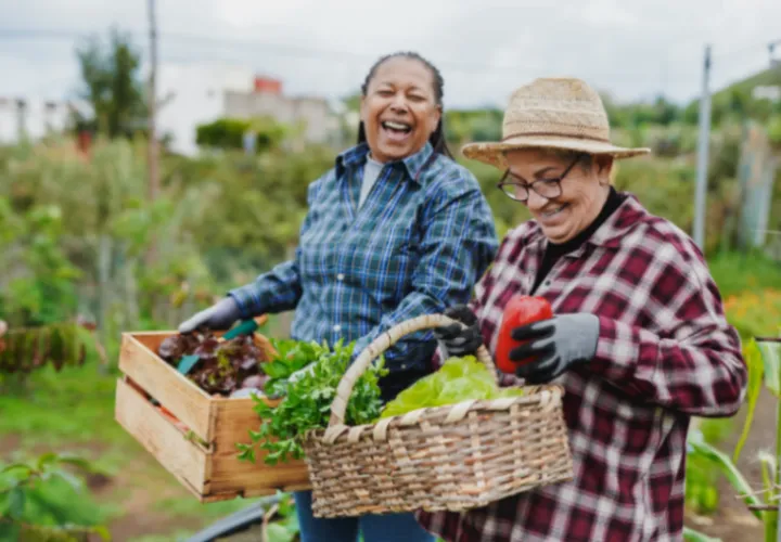 Two people smiling on a farm and carrying baskets full of vegetables 